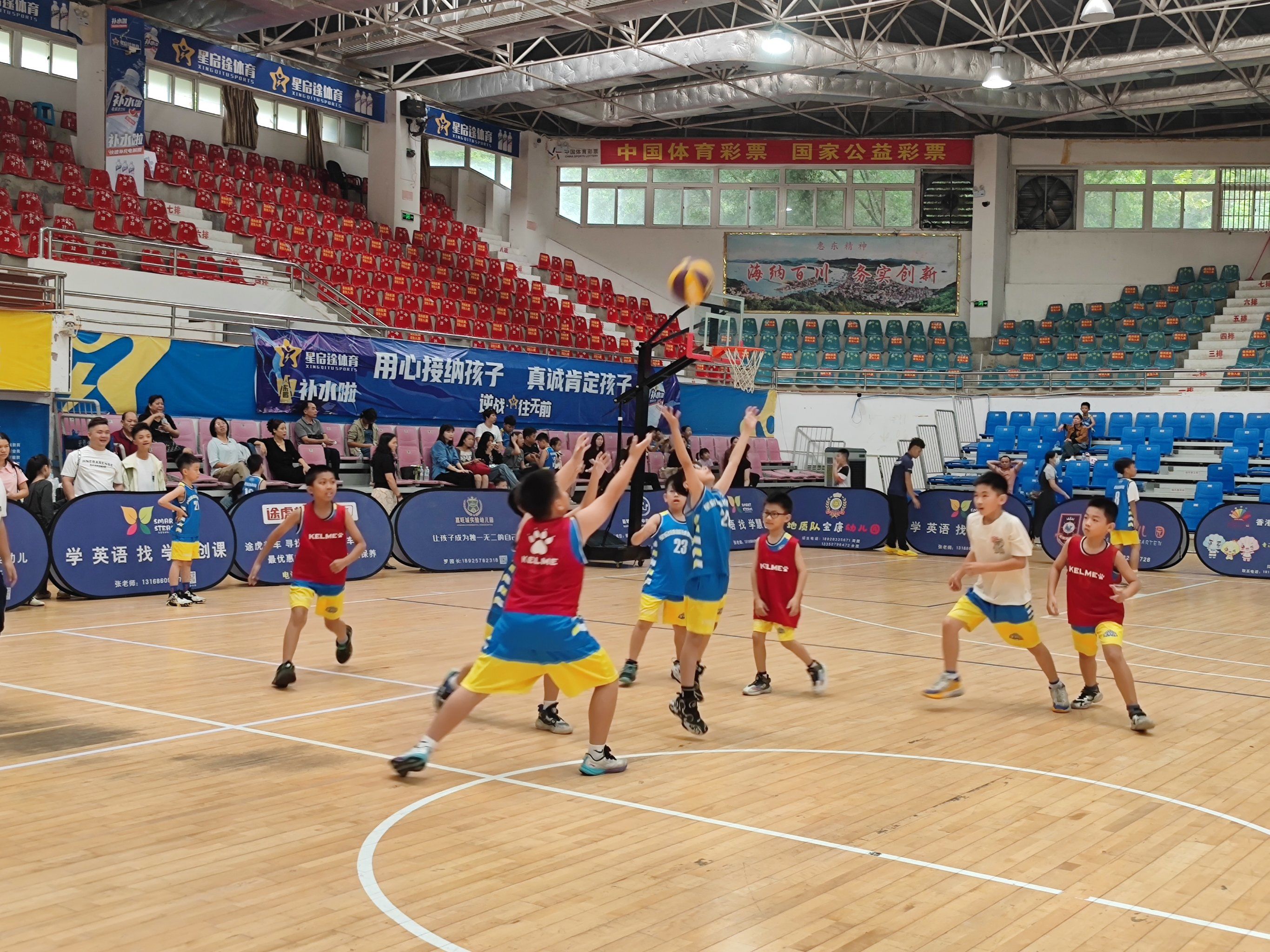 体育馆篮球比赛