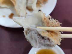 -东门饺子馆(少年宫路店)