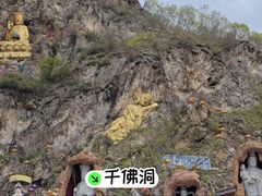 -大连天门山国家森林公园