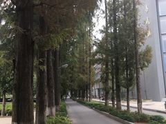 -武汉大学-樱园
