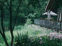 -西湖风景区-江洋畈生态公园