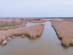 -盐城丹顶鹤湿地生态旅游区