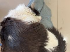 -平行世界·猫咖(首经贸店)