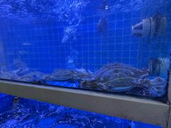 -威海渔村(静安旗舰店)