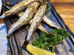 -森味薪火烧•烧鸟居酒屋•日本料理(望京店)
