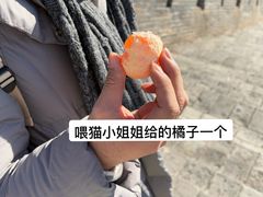 -雁门关景区