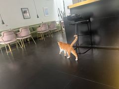 -简象咖啡CAFE ELE JANE(满陇桂雨店)