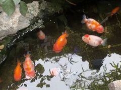 -佛有缘素食馆·荔湾老字号(陈家祠首店)