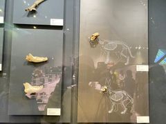 -北京周口店北京人遗址博物馆