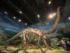 -自贡恐龙博物馆