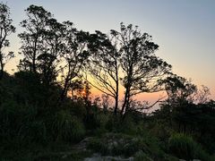 -梧桐山风景名胜区