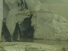 -南京海底世界