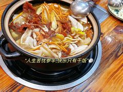 -菌之家·专业纯野生菌火锅·特色炒菌