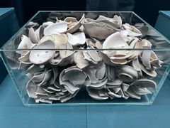 -中国港口博物馆