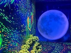-梵高星空艺术馆(北京旗舰店)