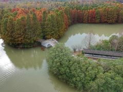 -上海海湾国家森林公园