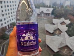 -郑州银基国际旅游度假区
