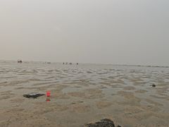 -红树林天天赶海