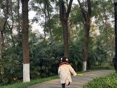 -重庆彩云湖湿地公园