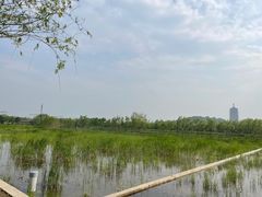 -永定河休闲森林公园