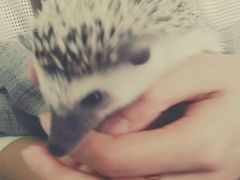 android_upload_pic-吃饼人西餐(南开店)