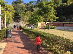 -香港大学