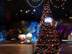 -杭州开元森泊度假乐园