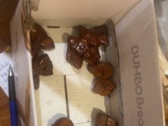 -小飞象面包公社(珠江路金鹰店)