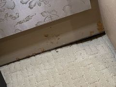 -北京康莱德酒店