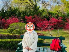-棒棰岛宾馆景区