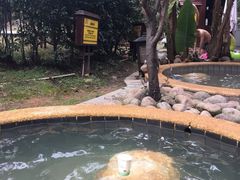 -咸宁太乙国际温泉度假村