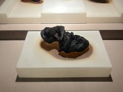 -河姆渡遗址博物馆