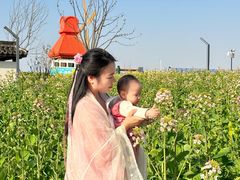 -杭州湾海上花田景区