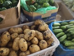 -大连熟食品交易中心