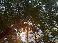 -安福路
