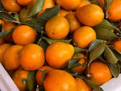 -南坛综合农贸市场