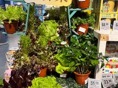 -Olé精品超市(北京合生汇店)