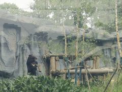 -武汉动物园