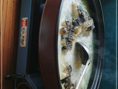 -饭怕鱼(阳光100店)