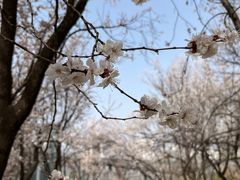 -东升八家郊野公园