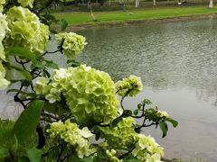 -白塘生态植物园