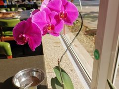 -荣德灶台鱼(圣泉寺店)