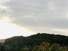-牛岗山公园