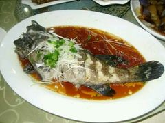-海岛渔村大酒店(云霄路店)