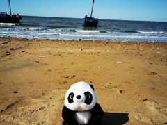 -李官龙王庙海滨旅游度假村