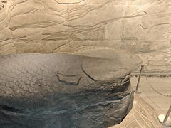 -白鹤梁水下博物馆
