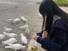 -南昌动物园