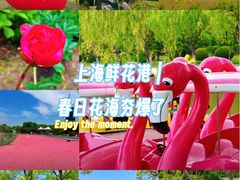 -上海鲜花港