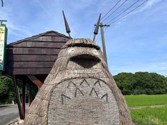 -嘉北郊野公园