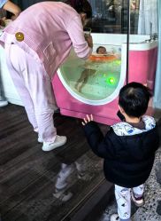 -尚圣月子会所·庄园式月子中心(萧山湘湖店)